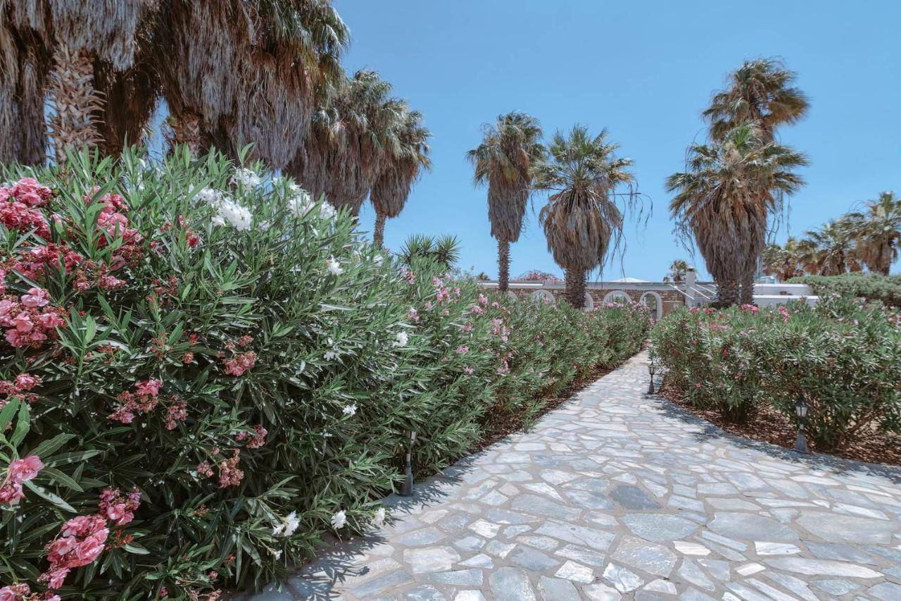 Palm Heaven Boutique Apartments Antiparos Town Exterior foto