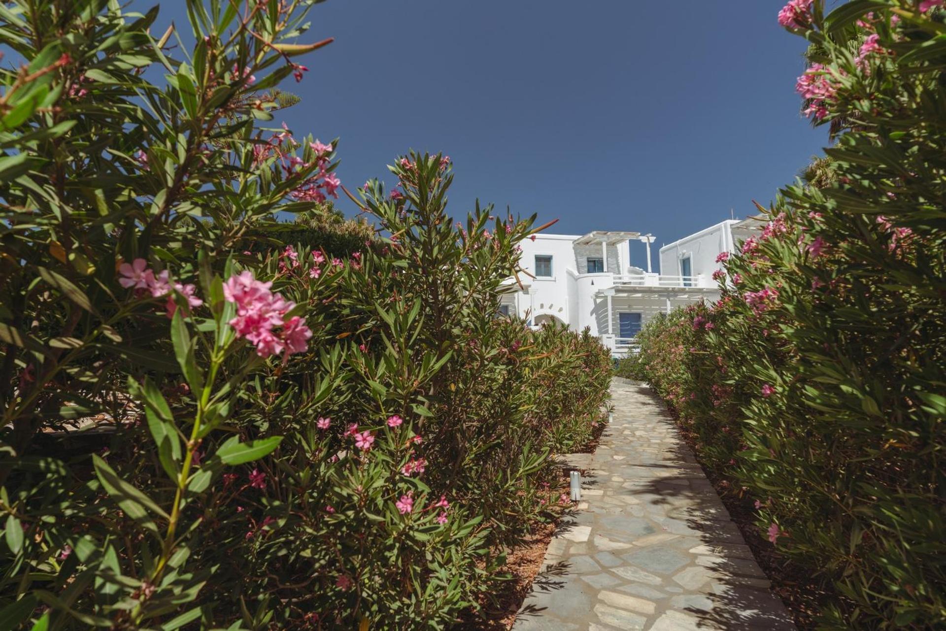 Palm Heaven Boutique Apartments Antiparos Town Exterior foto